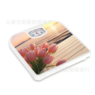 �羳���������w�سӏ��ɜy�����l������130kg�FƤ�Cе�Q���w��