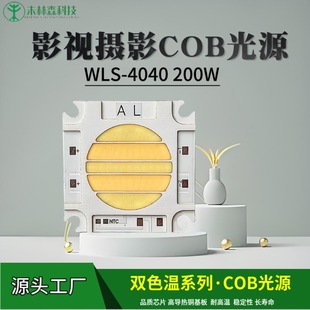 Factory Direct Sales Wls4040 Dual Color Temperature Film and Television Lamp Cob Light Source 200W High Power Photography Lamp High Display Lamp Beads
