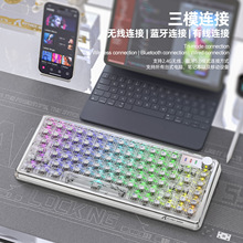 Attack Shark������K75RGB�o���Cе�I�P�{��͸��gasket�����I�P