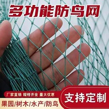 果园防鸟网防鸟樱桃蓝莓草莓葡萄苹果梨树防鸟天网新料抗老化