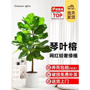 ���~�����Դ��;Gֲ�҃ȿ͏d����Ϙ��S���Ŵ��~�k���҃��ļ�����