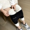 one Leggings winter keep warm cotton-padded trousers Plush thickening Embroidery Feet Exorcism Autumn and winter Sherpa Northeast