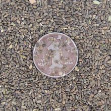 �׻������N�Ӳĵ���������ϵ����t�����t��Ѫ�����N��