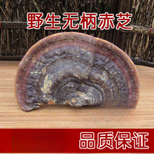 Ұo֥ Ұ`֥ o`֥ ֻ250 Ƭ