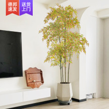 ���������Gֲ�͏d�p�������҃ȴ����쾰ֲ���b���ؔ[���ٻ���