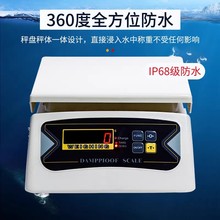厦门佰伦斯防水计重秤BWS-616AR全密封防水 双面电子称 工业秤