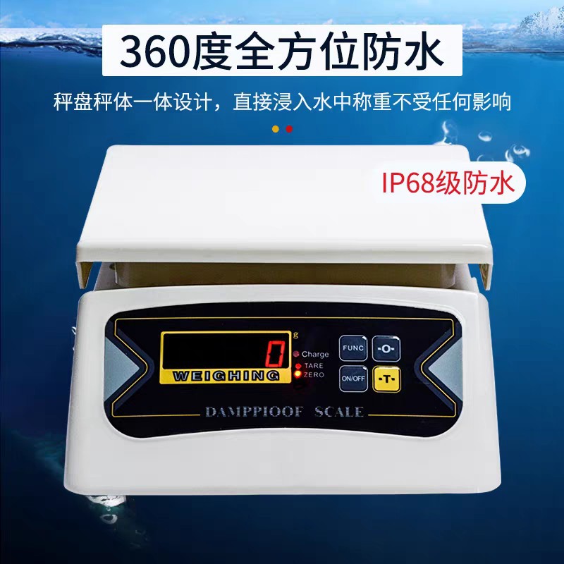 厦门佰伦斯防水计重秤BWS-616AR全密封防水 双面电子称 工业秤