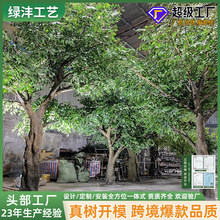 ������������ϙ���̈��Ƶ��쾰���̾��^���b٘䲣��䓷����