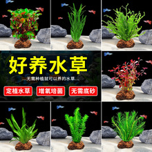 ��ɽʯˮ��ֲ������~��ˮ���쾰���������B�~�ײͺ��������