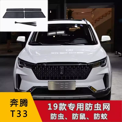 Automobile anti-insect net Water Tank Protective Net T33 - 19-20-pentium-t33