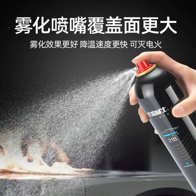 Vehicle fire extinguisher Fire Extinguisher 21B Small