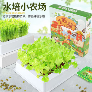 ˮ����ͯ�NֲС�����^����׃��@�k����ֲ�����L�lѿ����С�W��