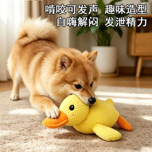 ������߽␞��������С��ë�q��ż�����˰lĥ����ҧ������Ʒ