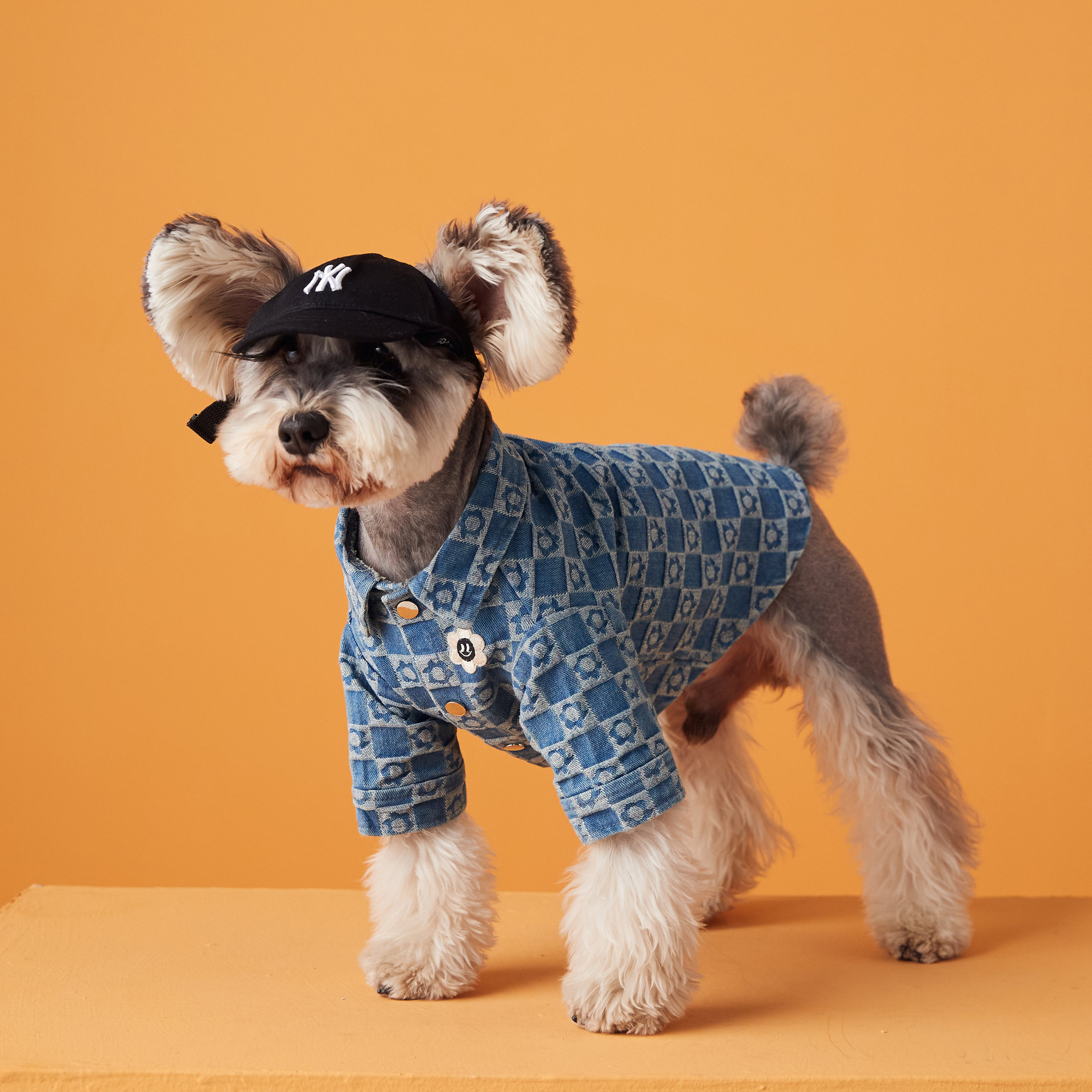 Plush Floral Shirt Teddy Schnauzer Pet Cat Base Image 3