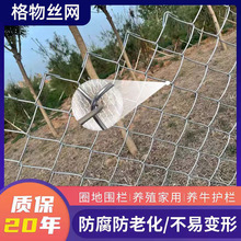 矿用支护网圈地隔离养殖网铁丝网编织菱形勾花网镀锌平纹编织泥浆