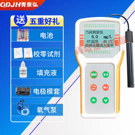 便携式溶解氧分析仪满度标定极谱型覆膜式水中含氧量溶解氧检测仪