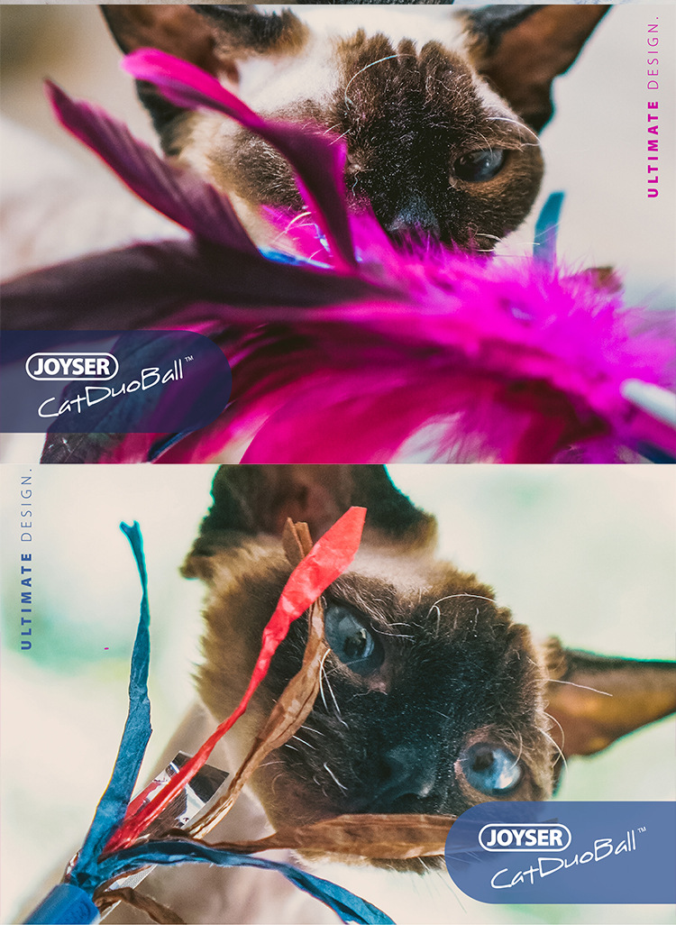 猫?玩具?情_04.jpg