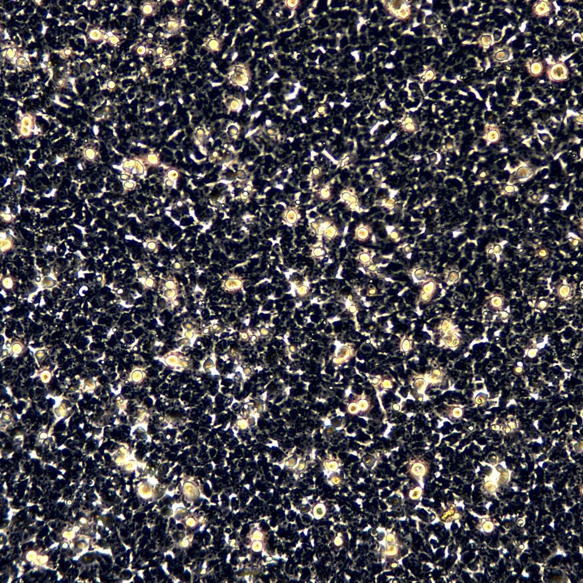 2025-09-18 14:04:11.jpg