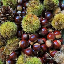 ���������r �����r��40-60/30-40/40-50KG �ؼ����������N����