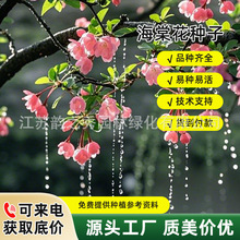 zĻNӲ׷NļNĻݷN