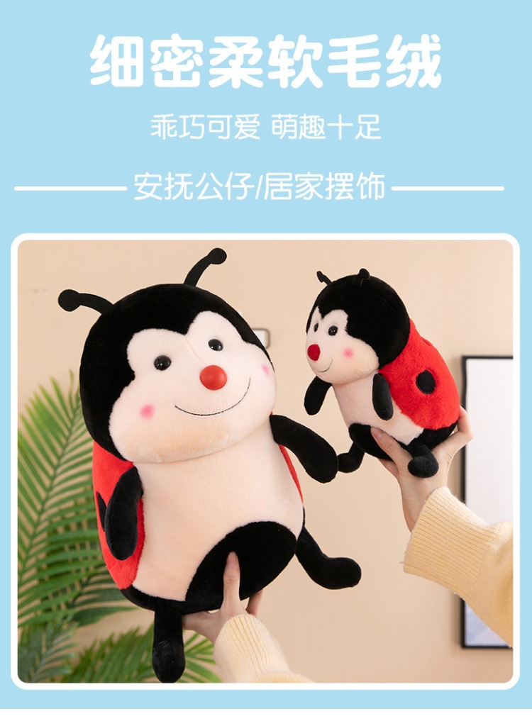 瓢虫 (2).jpg
