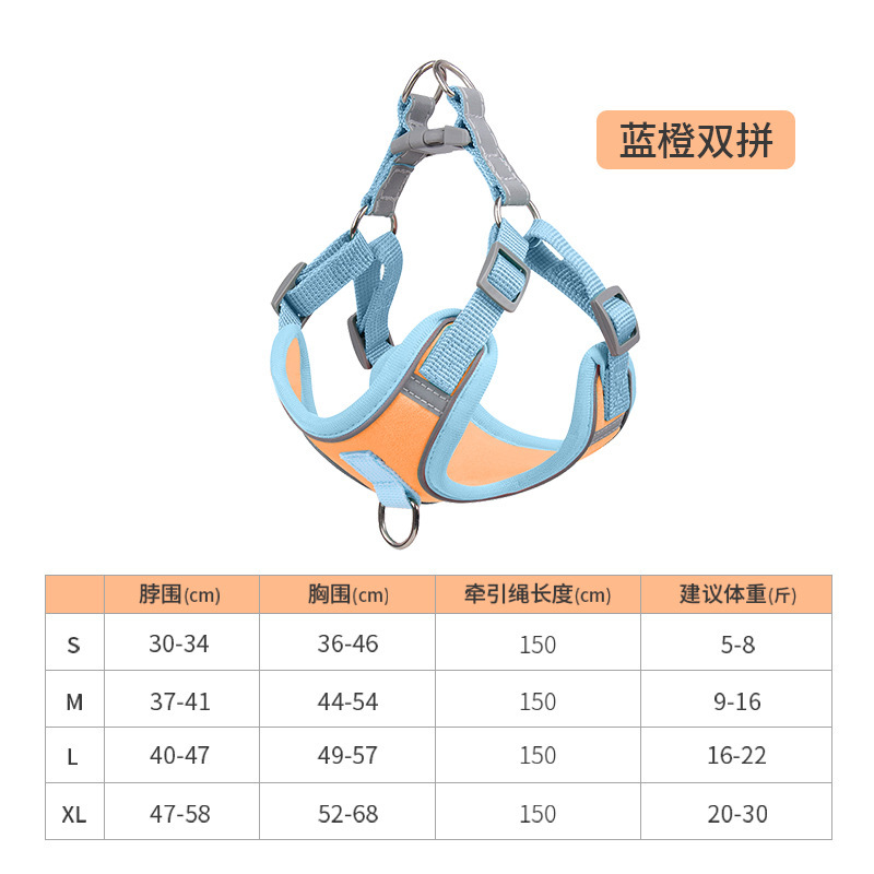 Chaleco correa de perro pequeño oso de peluche Bomei correa de pecho cachorro perro correa de perro Cadena de perro