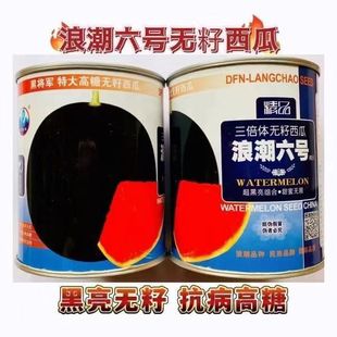 �˳���̖�߮a�o�����ϷN�Ӻ�Ƥ�tȿ�����������w�o���ļ�������