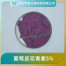 葡萄皮花青素5% 熙泰生物 葡萄皮提取物 原花青素 葡萄皮色素包邮