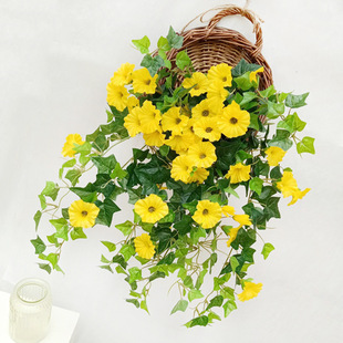 �¿���滨��ţ�����Ȼ� �ٻ��ٗl���ϻ��͏d�����b���ڵ��m