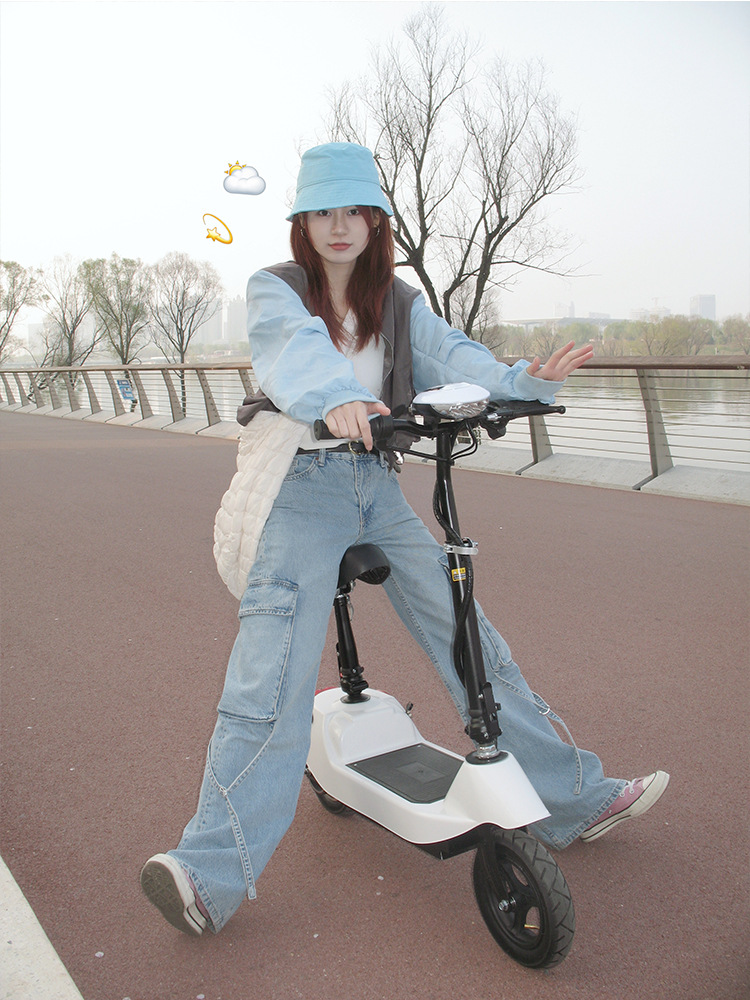 Suitable for Electric Scooters, Adult Work Scooters, Mini Electric Scooters for Girls, Foldable Dolphin Batteries