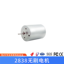 SƼˮR_CеOŤ2838 Ƽoˢ늙C