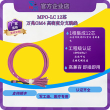 wMPOLC֧12оģOS2/ģOM4 10G-100GĹ|