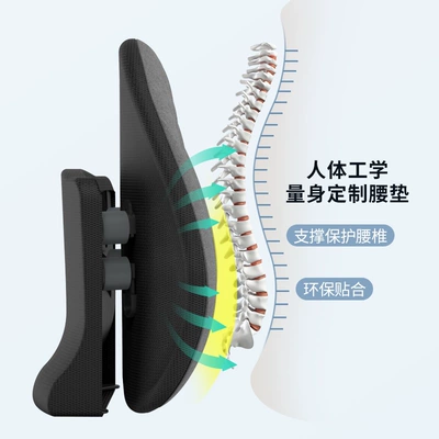 Waist support – pressure-relief and corrective pneumatic lumbar pillow