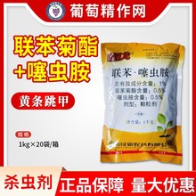 �G�ԾG����1%���������x���S�l�����rș���x���w���������x�@