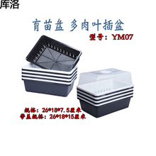 育苗盘叶插盆多肉花卉播种小苗培养培育器带盖保温湿促发根芽YM07