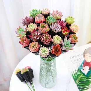 Succulent Bouquet New Year's Eve Flowers New Plant Bouquet Potted Novice Gift Flower Creative Lazy Person