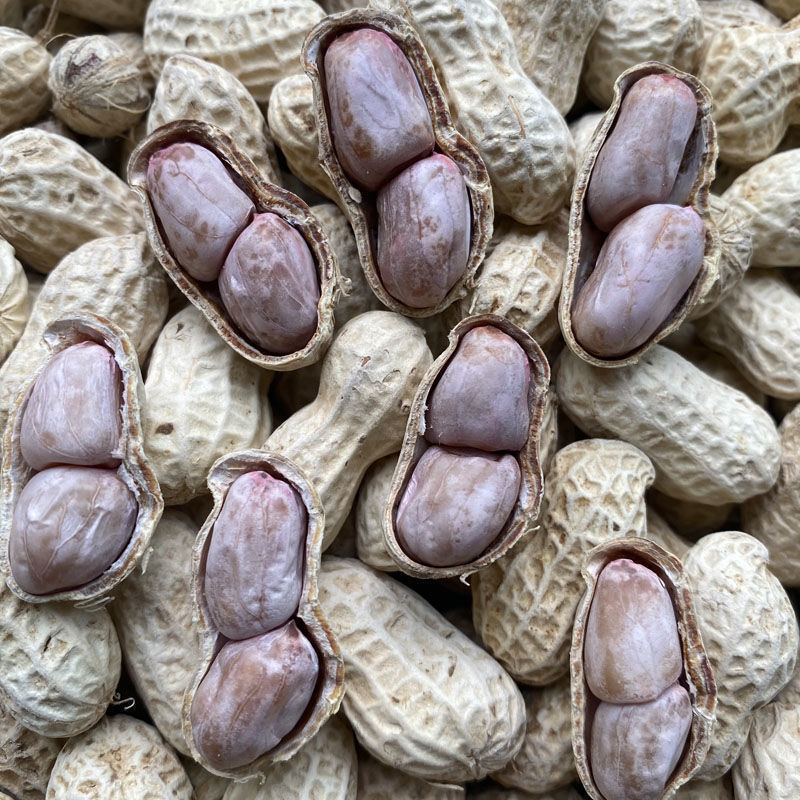 水煮花生咸干花生白晒五香蒜香核桃味带壳新花生零食解馋下酒菜咸|undefined