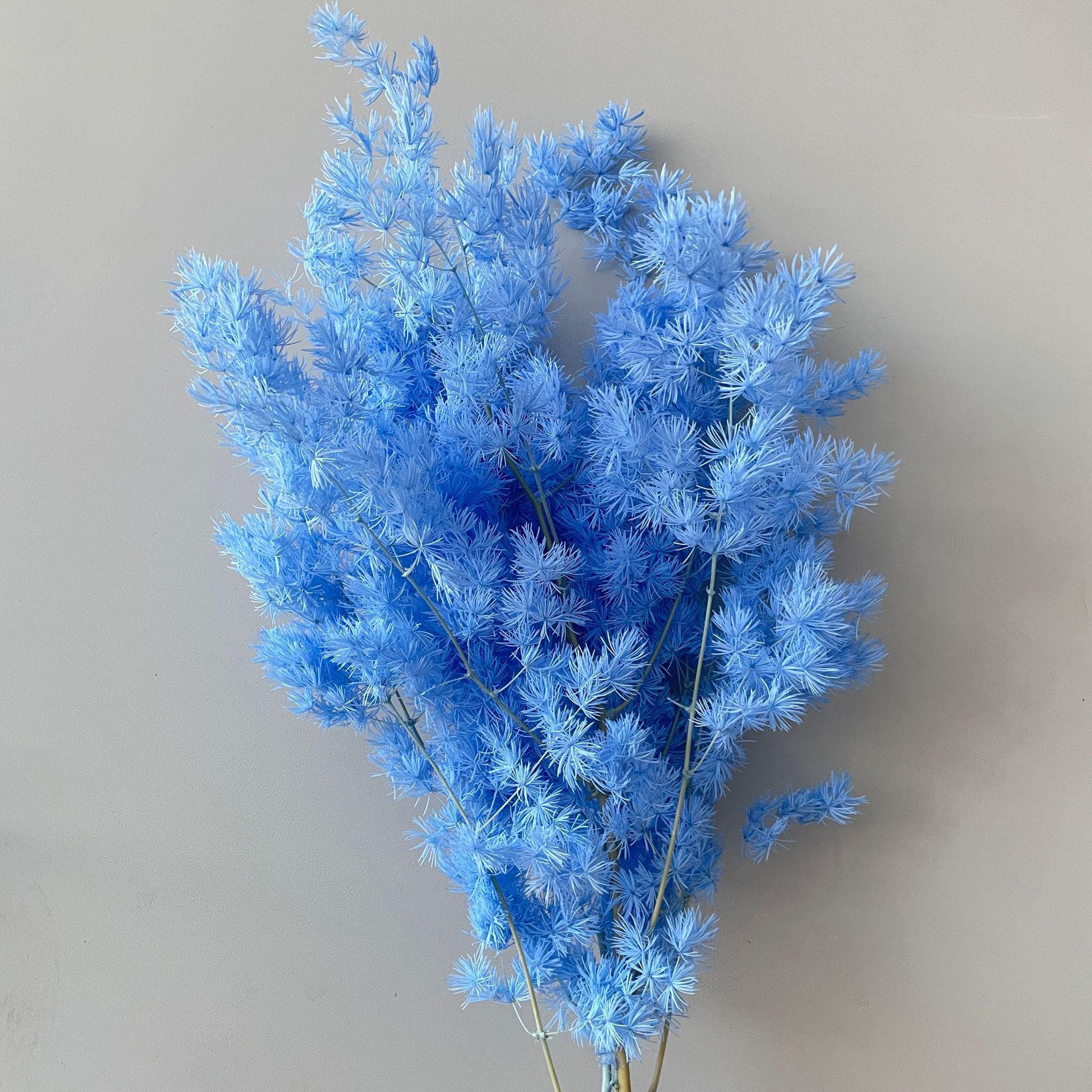 Biru langit