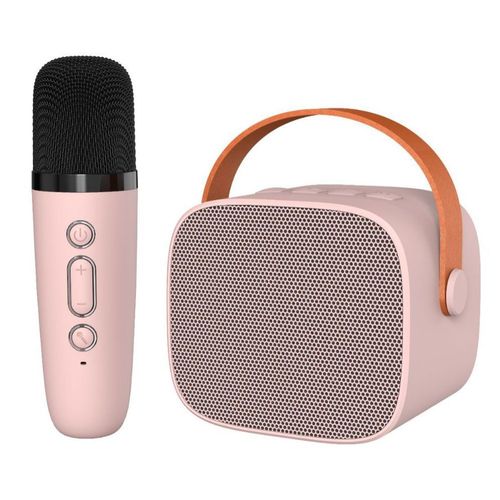 P2 portable mini wireless microphone integrated Bluetooth audio outdoor karaoke home microphone set cross-border special
