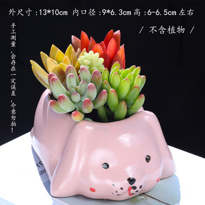 越境動物多肉植木鉢アニメ陶磁器萌え系創意小植木鉢組み合わせ通気植木鉢幼稚園装飾|undefined