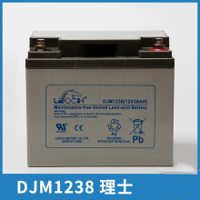 理士蓄电池 DJM1238 12V38AH 应急电源 UPS电瓶 铁路 电梯配件