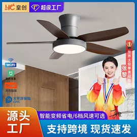 风扇灯;吸顶灯;智能家居