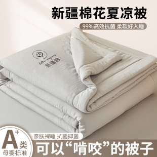 New Xinjiang Pure Cotton Air-Conditioned Quilt Summer Cool Quilt Summer Double Thin Quilt Dormitory Single Student Machine Washable