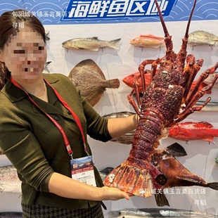 �����rģ�Ͱ��������Ű��������t�����ʽ���r����չ̨�[�OƷ