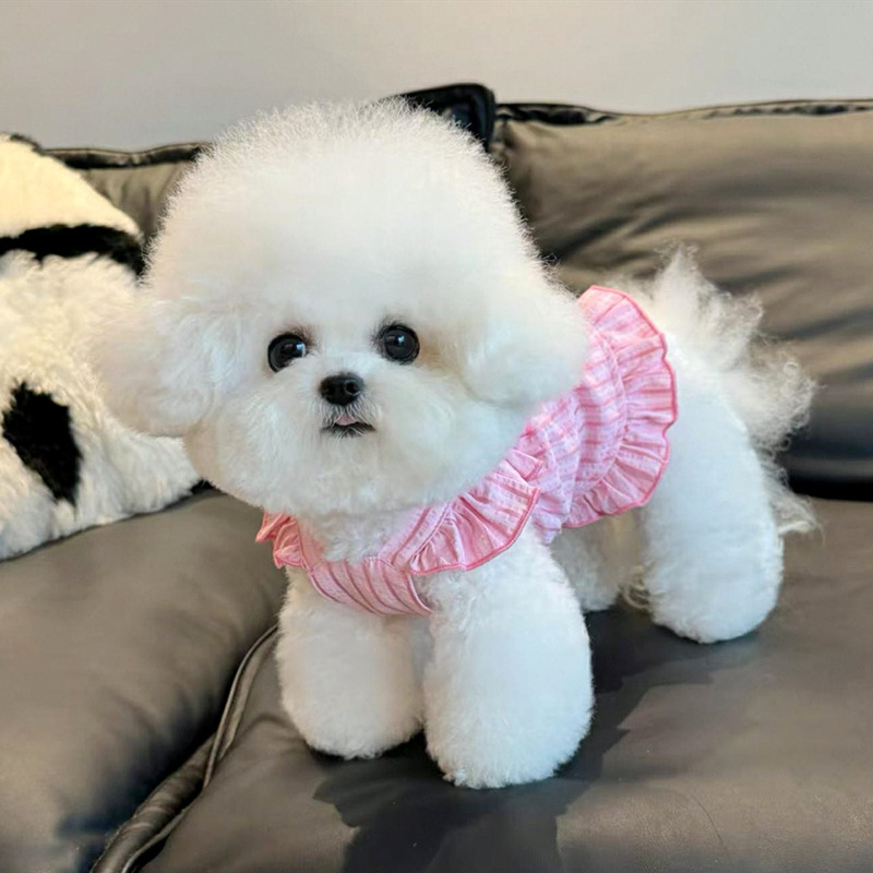 子犬服夏薄いストライプ大きなリボンフライングスリーブサスペンダースカートペットビションテディ猫服|undefined
