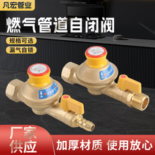 全合铜安全阀家用天然气管道煤气漏气自闭阀燃气灶超压防爆安全阀