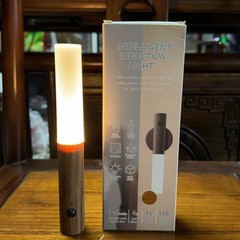 創造性現代シンプル知能人体誘導灯led充電小夜灯階段廊下にアクリル壁灯がついている