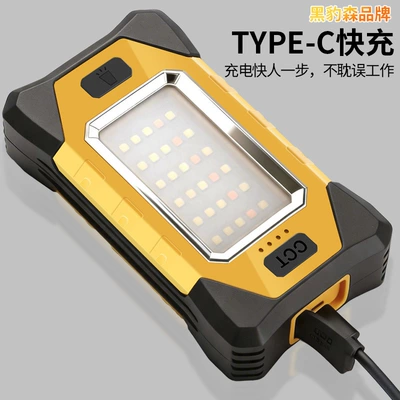 Dual Magnetic Inspection Work Light: UV fənərlər