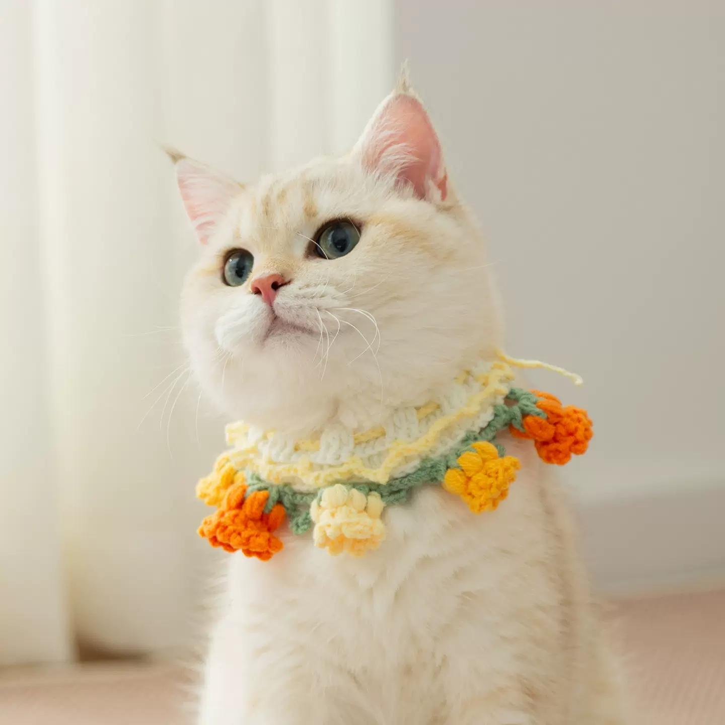 宠物手工编织项圈可爱猫咪针织项链幼猫脖圈小型犬狗狗围脖装饰品