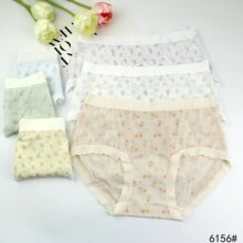 6156#����Ůʿ�ڿ�28*24cm�׷�͸���黨�����ڿ�����β������